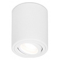 Накладной светильник ambrella light tn tn225